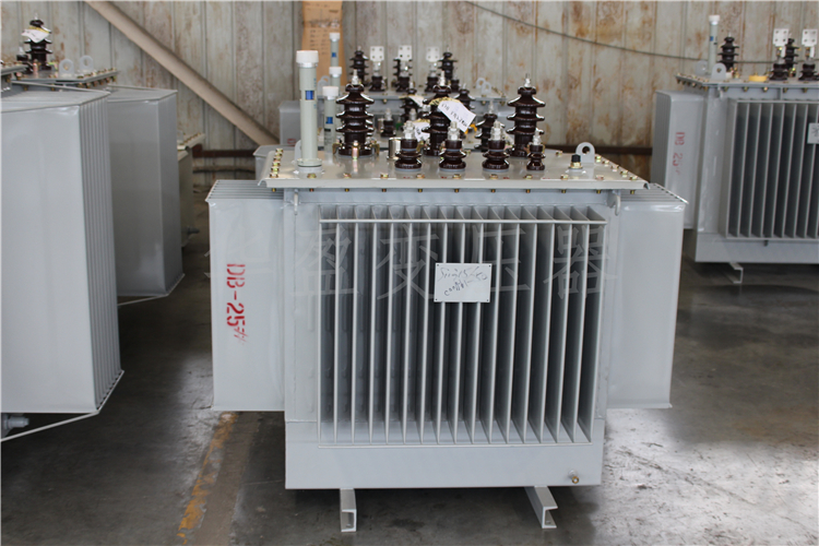 S20-800kVA/10kV/0.4kV變壓器